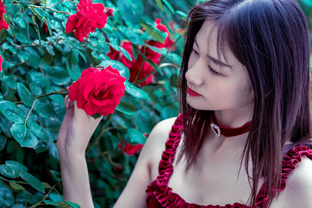 重庆高温天气持续 大熊猫等动物享夏日“清凉套餐”